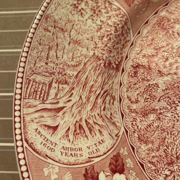 Vintage Picturesque Natural Bridge Virginia plate - Picture 12 of 14